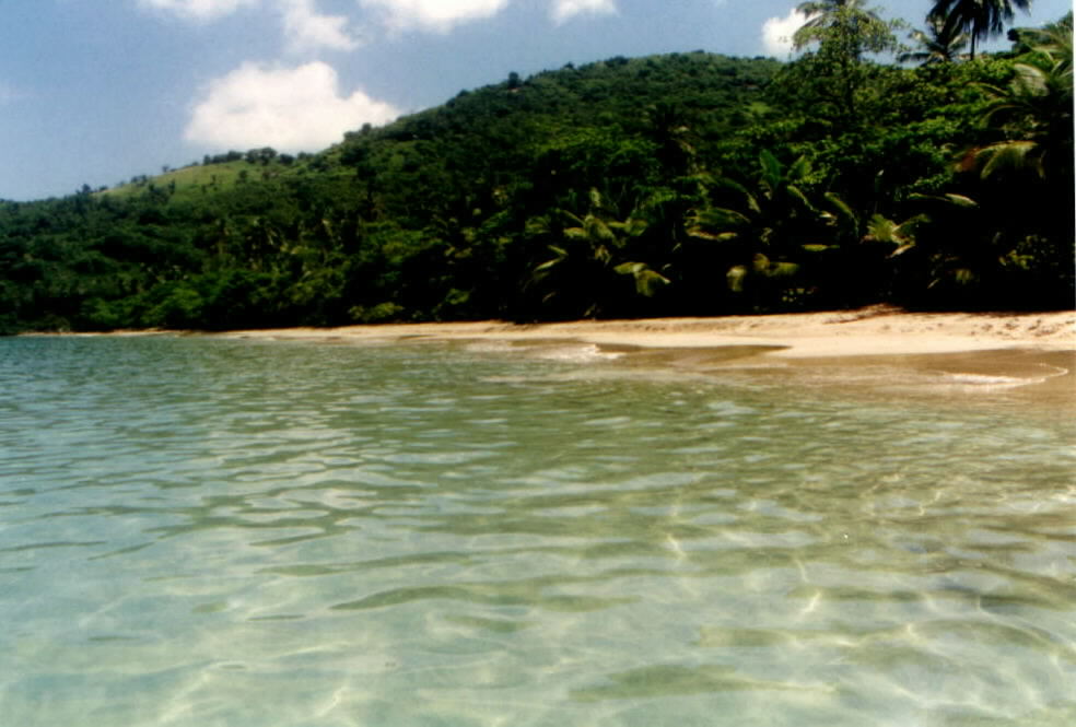 The nearly empty beach at Brewer's Bay