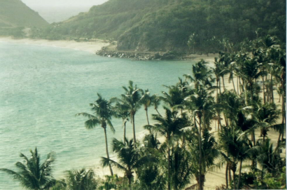 Deadman's Bay, viewed from above