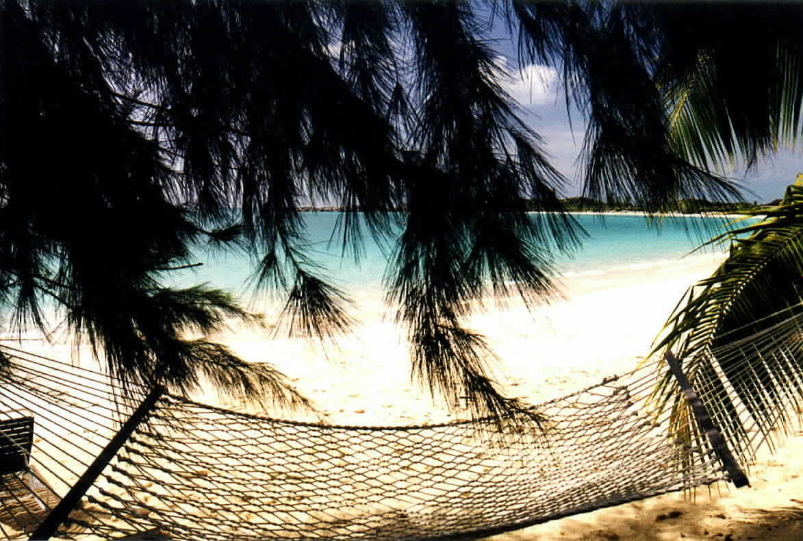 Lazy days on a hammock